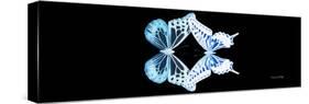 Miss Butterfly Duo Melaxhus Pan - X-Ray Black Edition-Philippe Hugonnard-Stretched Canvas