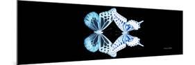 Miss Butterfly Duo Melaxhus Pan - X-Ray Black Edition-Philippe Hugonnard-Mounted Photographic Print