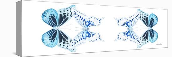 Miss Butterfly Duo Melaxhus Pan - X-Ray White Edition II-Philippe Hugonnard-Stretched Canvas