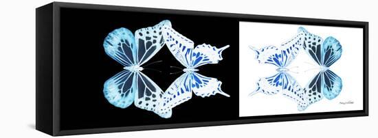 Miss Butterfly Duo Melaxhus Pan - X-Ray White Edition III-Philippe Hugonnard-Framed Stretched Canvas