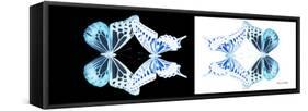 Miss Butterfly Duo Melaxhus Pan - X-Ray White Edition III-Philippe Hugonnard-Framed Stretched Canvas