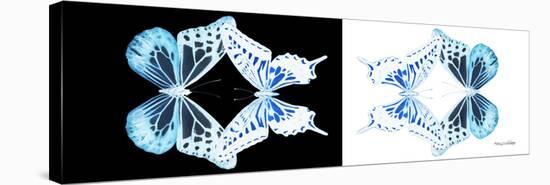 Miss Butterfly Duo Melaxhus Pan - X-Ray White Edition III-Philippe Hugonnard-Stretched Canvas