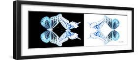 Miss Butterfly Duo Melaxhus Pan - X-Ray White Edition III-Philippe Hugonnard-Framed Photographic Print