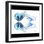 Miss Butterfly Duo Melaxhus Sq - X-Ray B&W Edition-Philippe Hugonnard-Framed Photographic Print