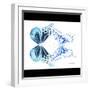 Miss Butterfly Duo Melaxhus Sq - X-Ray B&W Edition-Philippe Hugonnard-Framed Photographic Print