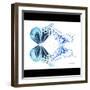 Miss Butterfly Duo Melaxhus Sq - X-Ray B&W Edition-Philippe Hugonnard-Framed Photographic Print