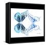 Miss Butterfly Duo Melaxhus Sq - X-Ray B&W Edition-Philippe Hugonnard-Framed Stretched Canvas