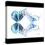 Miss Butterfly Duo Melaxhus Sq - X-Ray B&W Edition-Philippe Hugonnard-Stretched Canvas