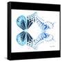 Miss Butterfly Duo Melaxhus Sq - X-Ray B&W Edition-Philippe Hugonnard-Framed Stretched Canvas