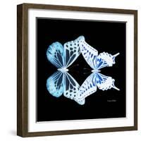 Miss Butterfly Duo Melaxhus Sq - X-Ray Black Edition-Philippe Hugonnard-Framed Photographic Print