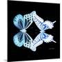 Miss Butterfly Duo Melaxhus Sq - X-Ray Black Edition-Philippe Hugonnard-Mounted Photographic Print