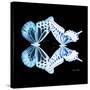 Miss Butterfly Duo Melaxhus Sq - X-Ray Black Edition-Philippe Hugonnard-Stretched Canvas