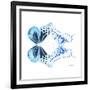 Miss Butterfly Duo Melaxhus Sq - X-Ray White Edition-Philippe Hugonnard-Framed Photographic Print