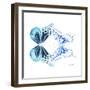 Miss Butterfly Duo Melaxhus Sq - X-Ray White Edition-Philippe Hugonnard-Framed Photographic Print