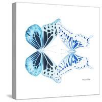 Miss Butterfly Duo Melaxhus Sq - X-Ray White Edition-Philippe Hugonnard-Stretched Canvas