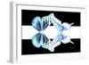 Miss Butterfly Duo Melaxhus - X-Ray B&W Edition II-Philippe Hugonnard-Framed Photographic Print