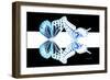 Miss Butterfly Duo Melaxhus - X-Ray B&W Edition II-Philippe Hugonnard-Framed Photographic Print