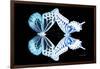 Miss Butterfly Duo Melaxhus - X-Ray Black Edition-Philippe Hugonnard-Framed Photographic Print