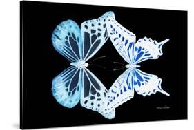 Miss Butterfly Duo Melaxhus - X-Ray Black Edition-Philippe Hugonnard-Stretched Canvas