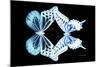 Miss Butterfly Duo Melaxhus - X-Ray Black Edition-Philippe Hugonnard-Mounted Photographic Print