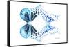 Miss Butterfly Duo Melaxhus - X-Ray White Edition-Philippe Hugonnard-Framed Stretched Canvas