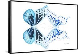 Miss Butterfly Duo Melaxhus - X-Ray White Edition-Philippe Hugonnard-Framed Stretched Canvas