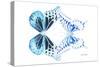 Miss Butterfly Duo Melaxhus - X-Ray White Edition-Philippe Hugonnard-Stretched Canvas