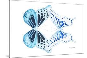 Miss Butterfly Duo Melaxhus - X-Ray White Edition-Philippe Hugonnard-Stretched Canvas