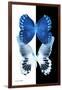Miss Butterfly Duo Memhowqua II - X-Ray B&W Edition-Philippe Hugonnard-Framed Photographic Print