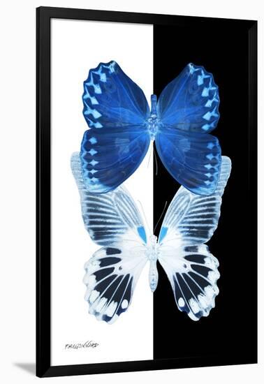 Miss Butterfly Duo Memhowqua II - X-Ray B&W Edition-Philippe Hugonnard-Framed Photographic Print