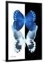 Miss Butterfly Duo Memhowqua II - X-Ray B&W Edition-Philippe Hugonnard-Framed Photographic Print