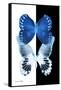 Miss Butterfly Duo Memhowqua II - X-Ray B&W Edition-Philippe Hugonnard-Framed Stretched Canvas