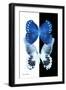 Miss Butterfly Duo Memhowqua II - X-Ray B&W Edition-Philippe Hugonnard-Framed Photographic Print