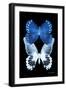 Miss Butterfly Duo Memhowqua II - X-Ray Black Edition-Philippe Hugonnard-Framed Photographic Print
