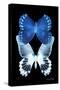 Miss Butterfly Duo Memhowqua II - X-Ray Black Edition-Philippe Hugonnard-Stretched Canvas