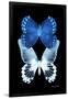 Miss Butterfly Duo Memhowqua II - X-Ray Black Edition-Philippe Hugonnard-Framed Photographic Print