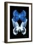 Miss Butterfly Duo Memhowqua II - X-Ray Black Edition-Philippe Hugonnard-Framed Photographic Print