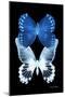 Miss Butterfly Duo Memhowqua II - X-Ray Black Edition-Philippe Hugonnard-Mounted Photographic Print