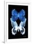 Miss Butterfly Duo Memhowqua II - X-Ray Black Edition-Philippe Hugonnard-Framed Photographic Print