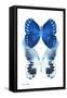 Miss Butterfly Duo Memhowqua II - X-Ray White Edition-Philippe Hugonnard-Framed Stretched Canvas