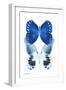 Miss Butterfly Duo Memhowqua II - X-Ray White Edition-Philippe Hugonnard-Framed Photographic Print