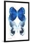 Miss Butterfly Duo Memhowqua II - X-Ray White Edition-Philippe Hugonnard-Framed Photographic Print