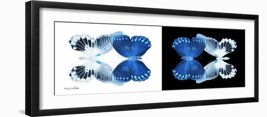 Miss Butterfly Duo Memhowqua Pan - X-Ray B&W Edition-Philippe Hugonnard-Framed Photographic Print