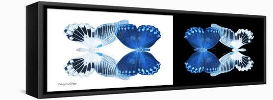 Miss Butterfly Duo Memhowqua Pan - X-Ray B&W Edition-Philippe Hugonnard-Framed Stretched Canvas