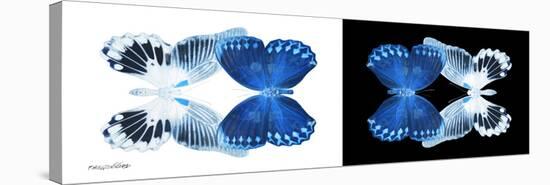 Miss Butterfly Duo Memhowqua Pan - X-Ray B&W Edition-Philippe Hugonnard-Stretched Canvas