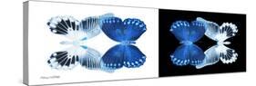 Miss Butterfly Duo Memhowqua Pan - X-Ray B&W Edition-Philippe Hugonnard-Stretched Canvas