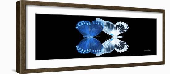 Miss Butterfly Duo Memhowqua Pan - X-Ray Black Edition II-Philippe Hugonnard-Framed Photographic Print