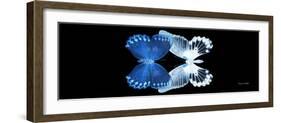 Miss Butterfly Duo Memhowqua Pan - X-Ray Black Edition II-Philippe Hugonnard-Framed Photographic Print