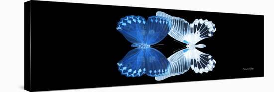 Miss Butterfly Duo Memhowqua Pan - X-Ray Black Edition II-Philippe Hugonnard-Stretched Canvas