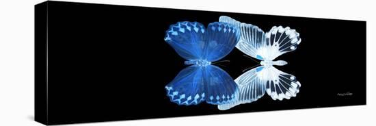 Miss Butterfly Duo Memhowqua Pan - X-Ray Black Edition II-Philippe Hugonnard-Stretched Canvas